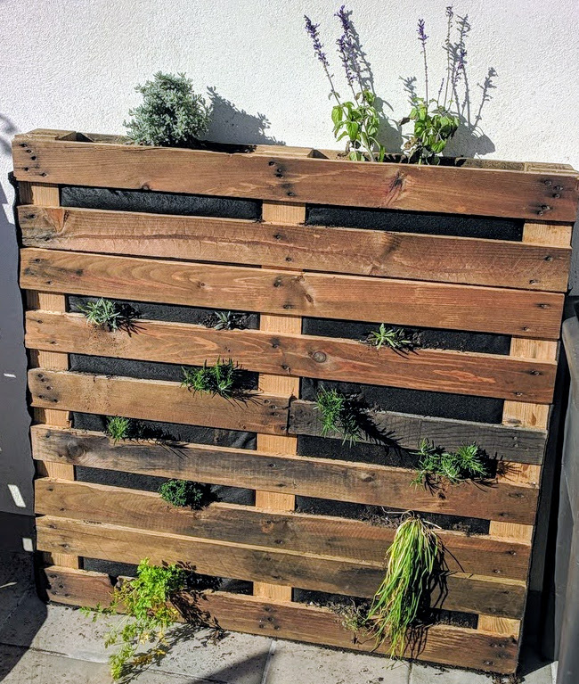Com fer el teu propi jardí vertical amb palets