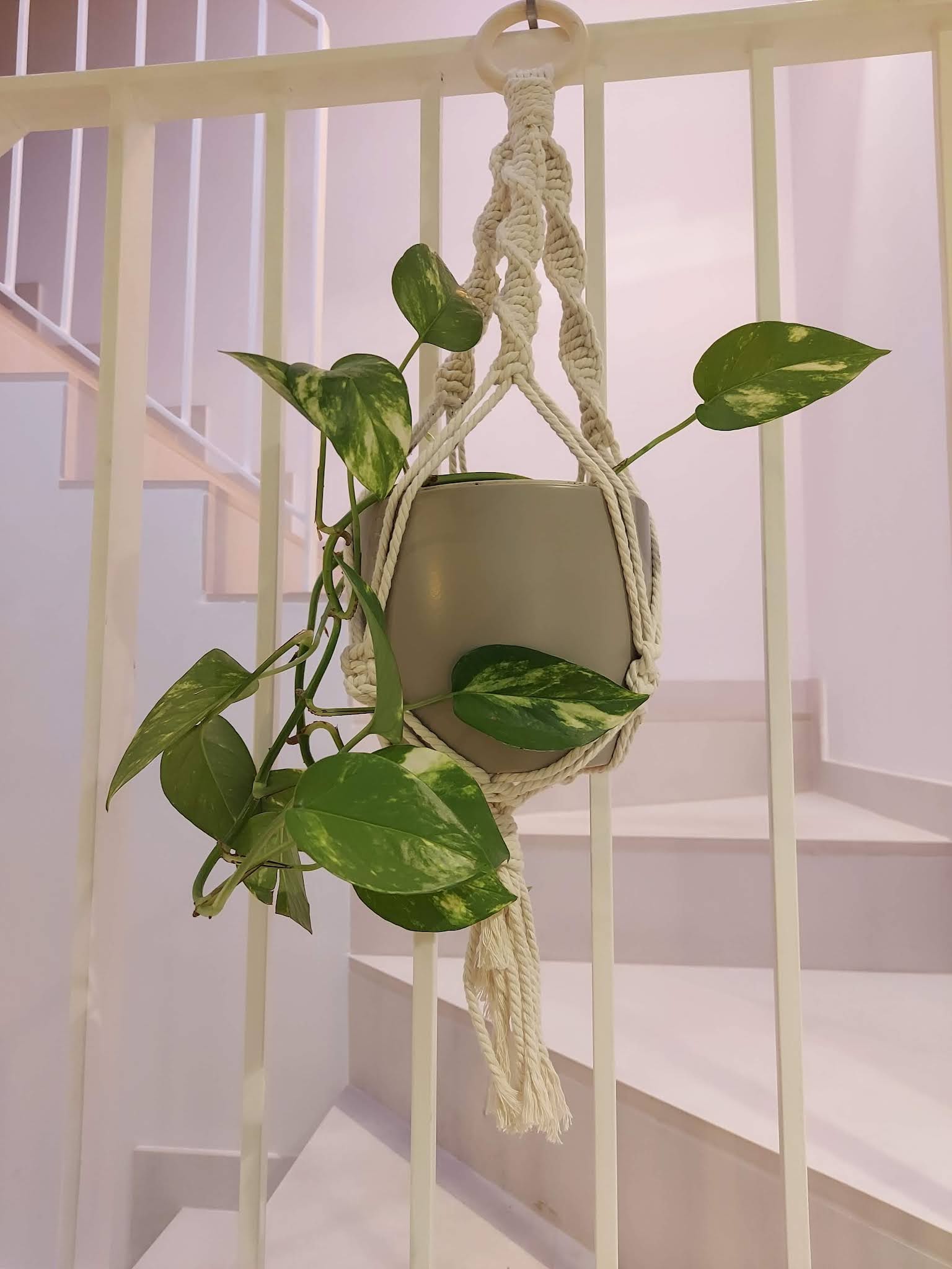 Macramé planta. Manualitat amb macramé.