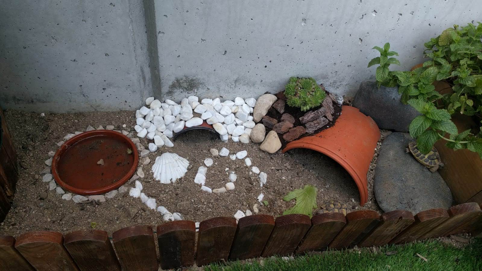 Construeix un terrari en el teu jardí