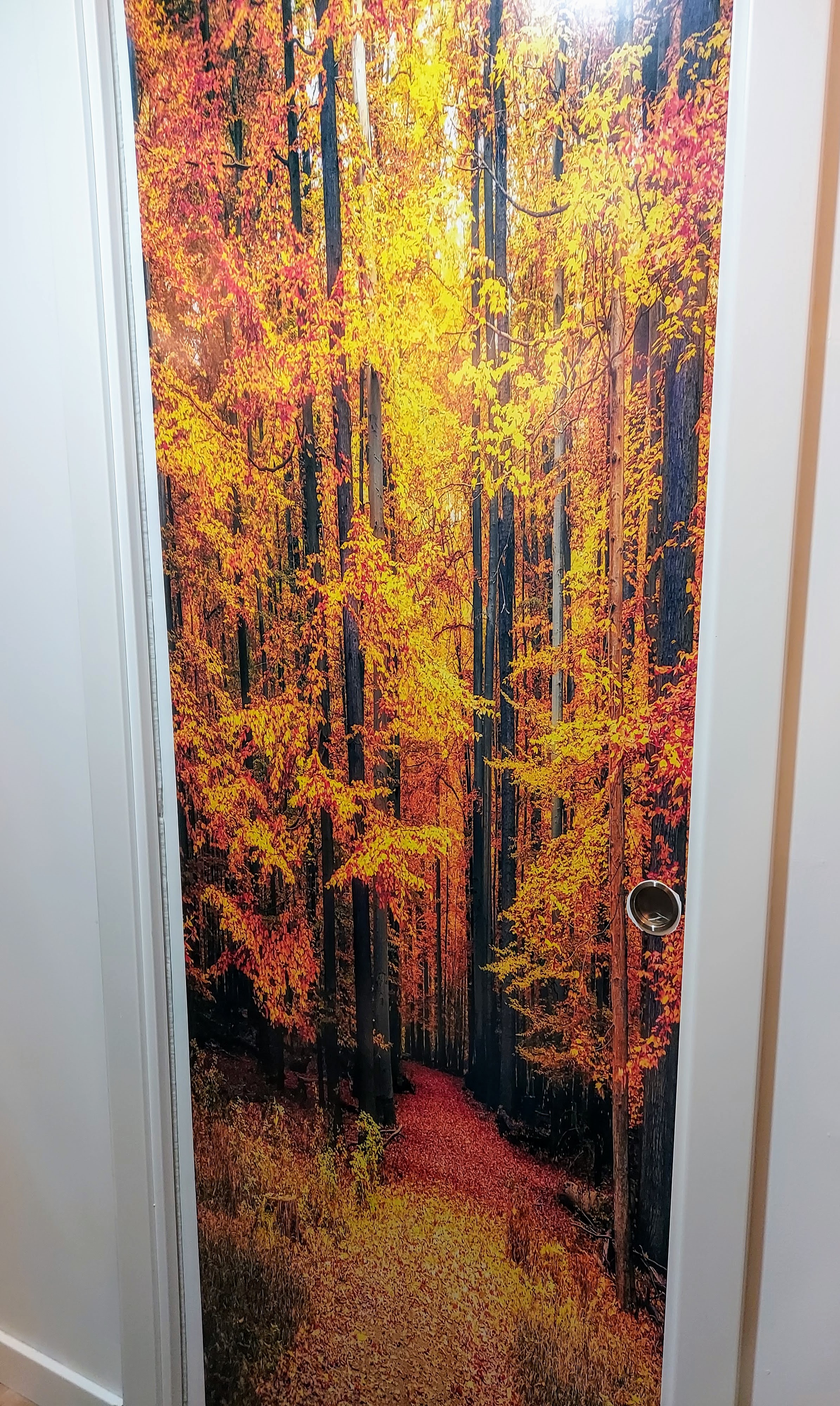 Decora casa teva amb els teus vinils.